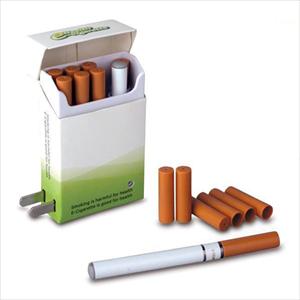 The Electronic Cigarette Company 